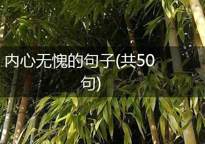 内心无愧的句子(共50句)
