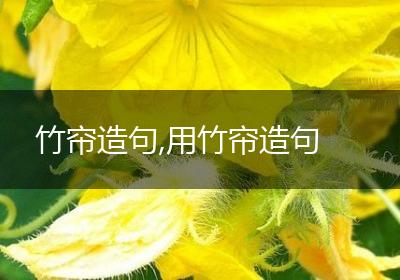 竹帘造句,用竹帘造句