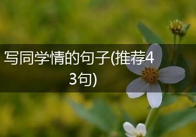 写同学情的句子(推荐43句)