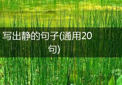 写出静的句子(通用20句)