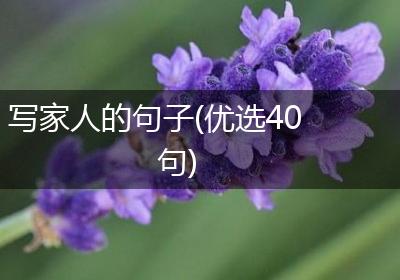 写家人的句子(优选40句)