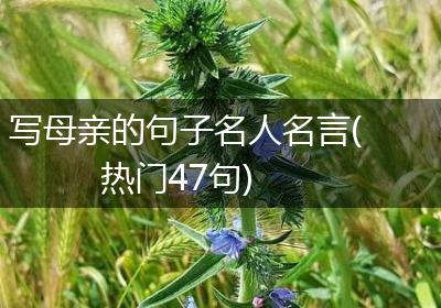 写母亲的句子名人名言(热门47句)