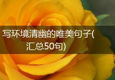 写环境清幽的唯美句子(汇总50句)
