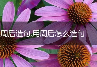 周后造句,用周后怎么造句