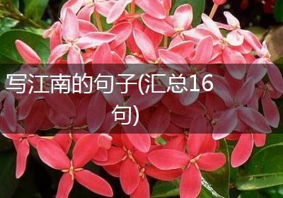 写江南的句子(汇总16句)