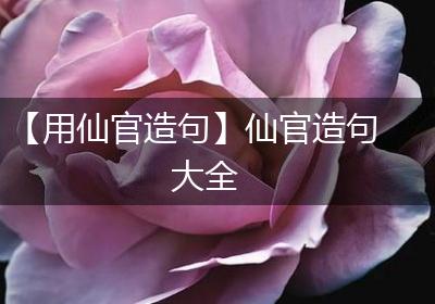 【用仙官造句】仙官造句大全