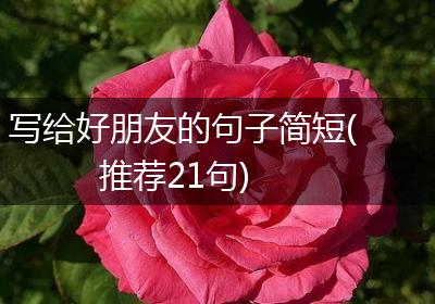 写给好朋友的句子简短(推荐21句)