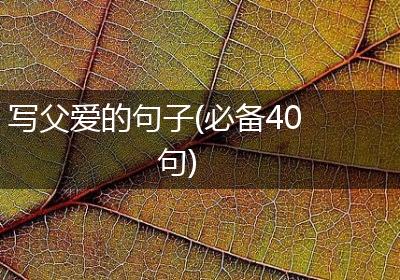 写父爱的句子(必备40句)