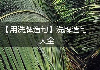 【用洗牌造句】洗牌造句大全
