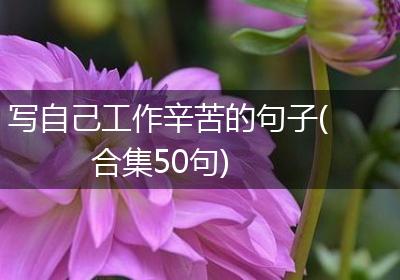 写自己工作辛苦的句子(合集50句)