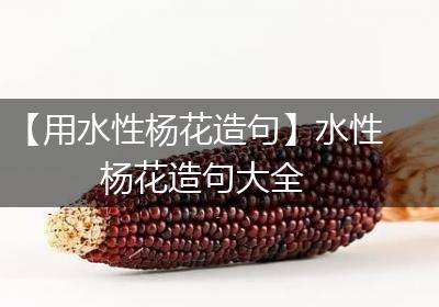 【用水性杨花造句】水性杨花造句大全