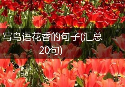 写鸟语花香的句子(汇总20句)