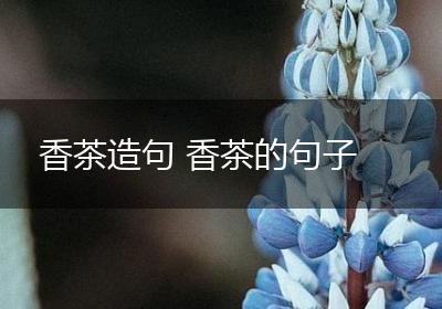 香茶造句 香茶的句子