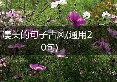 凄美的句子古风(通用20句)