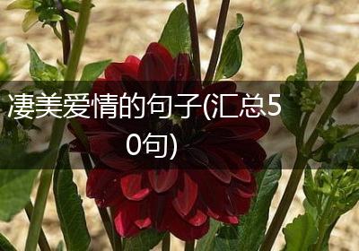凄美爱情的句子(汇总50句)