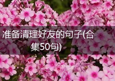 准备清理好友的句子(合集50句)
