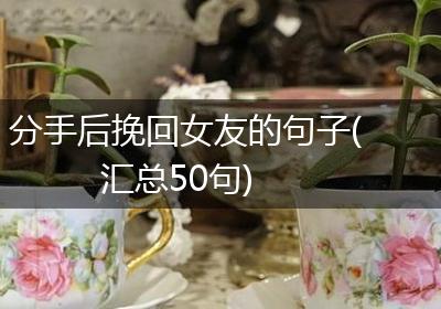 分手后挽回女友的句子(汇总50句)