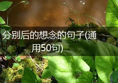 分别后的想念的句子(通用50句)