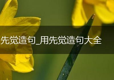 先觉造句_用先觉造句大全