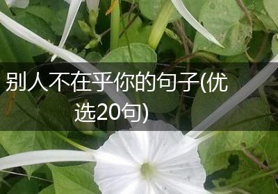别人不在乎你的句子(优选20句)