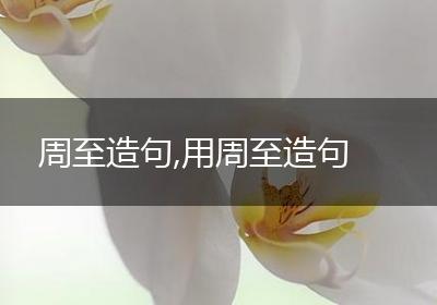 周至造句,用周至造句