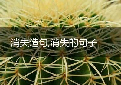 消失造句,消失的句子