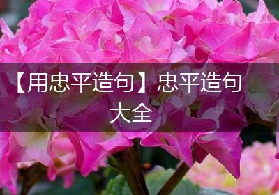 【用忠平造句】忠平造句大全