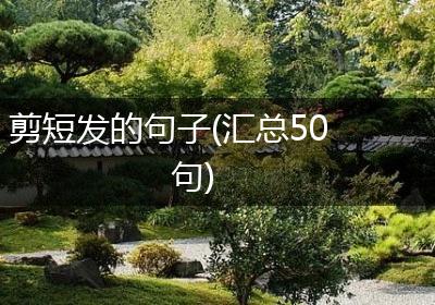 剪短发的句子(汇总50句)