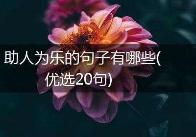 助人为乐的句子有哪些(优选20句)