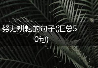 努力耕耘的句子(汇总50句)