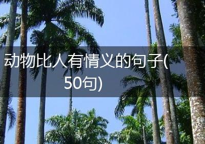 动物比人有情义的句子(50句)