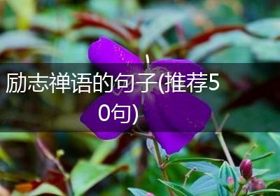 励志禅语的句子(推荐50句)