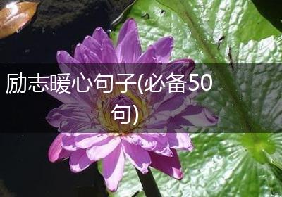励志暖心句子(必备50句)
