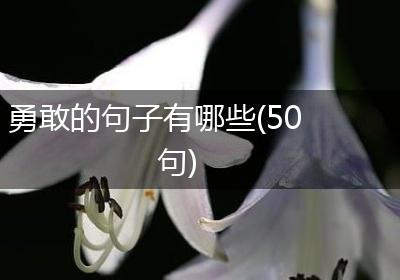 勇敢的句子有哪些(50句)