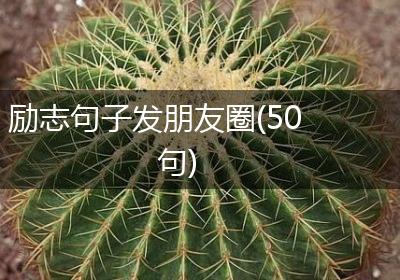 励志句子发朋友圈(50句)