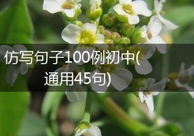 仿写句子100例初中(通用45句)