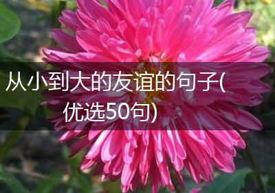 从小到大的友谊的句子(优选50句)