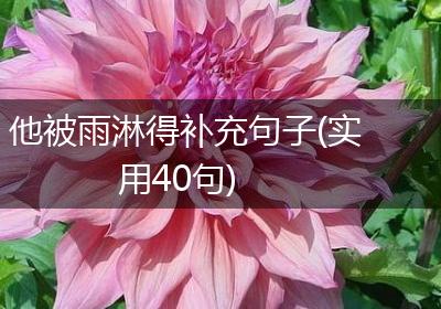 他被雨淋得补充句子(实用40句)