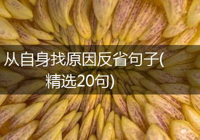 从自身找原因反省句子(精选20句)