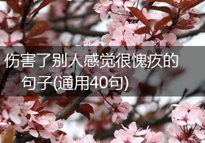 伤害了别人感觉很愧疚的句子(通用40句)