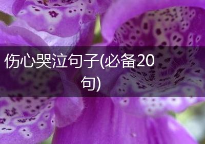伤心哭泣句子(必备20句)