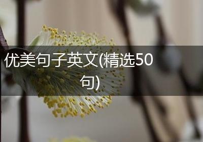 优美句子英文(精选50句)