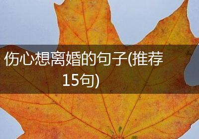 伤心想离婚的句子(推荐15句)