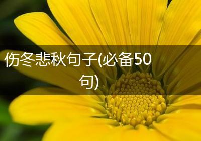 伤冬悲秋句子(必备50句)