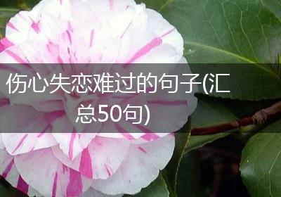 伤心失恋难过的句子(汇总50句)