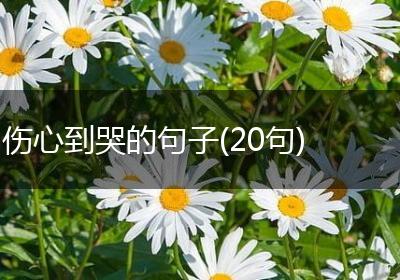 伤心到哭的句子(20句)