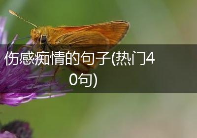 伤感痴情的句子(热门40句)