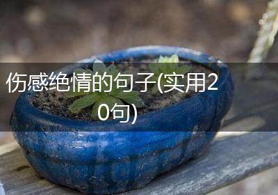 伤感绝情的句子(实用20句)