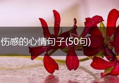 伤感的心情句子(50句)