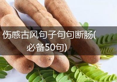 伤感古风句子句句断肠(必备50句)